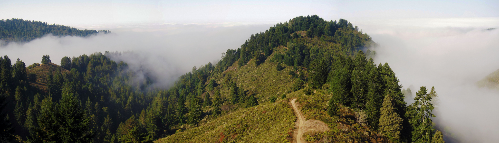 The North Ridge Trail